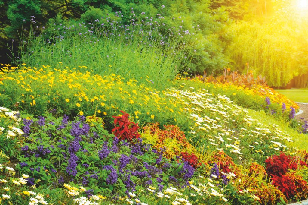 Honig variiert in Aroma, Geschmack und Farbe. Diese Unterschiede hängen weitgehend von den Blüten ab, von denen der Nektar gewonnen wird. Honig, der hauptsächlich aus einer Blüte gewonnen wird, wird monofloral oder unifloral genannt und davon gibt es über 100 verschiedene Formen. AlinaMD | Shutterstock